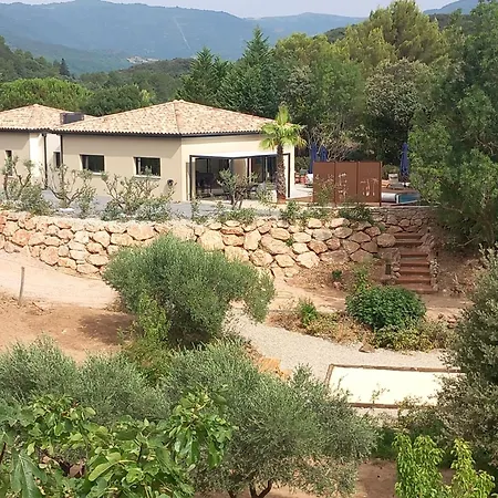 Casa De Torres * Lodève